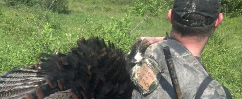 540276_384510358251787_928850999_n