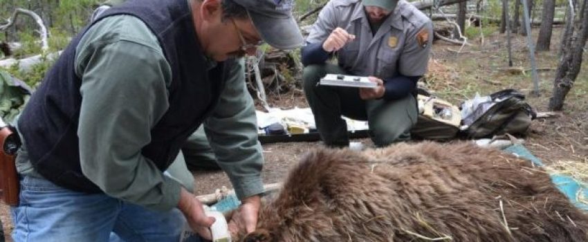 546390b4233be.preview-620