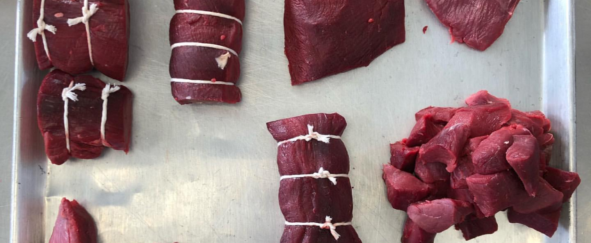 76751402_659006561170661_3977196671657312256_n