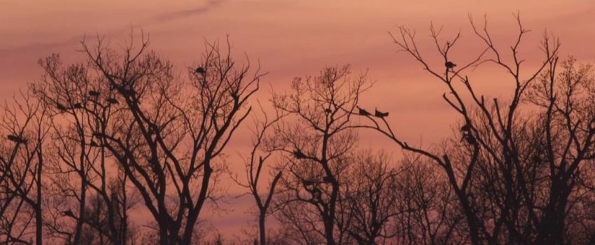 93302069_207212280576448_9163034540984238080_n