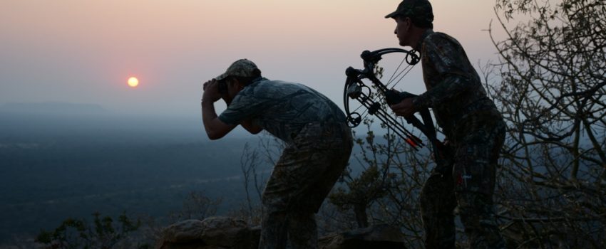 The Aimpoint Crossbow safari was a smashing success.  Fifteen animals with 15 shots among three hunters, all using Aimpoint red dot scopes.