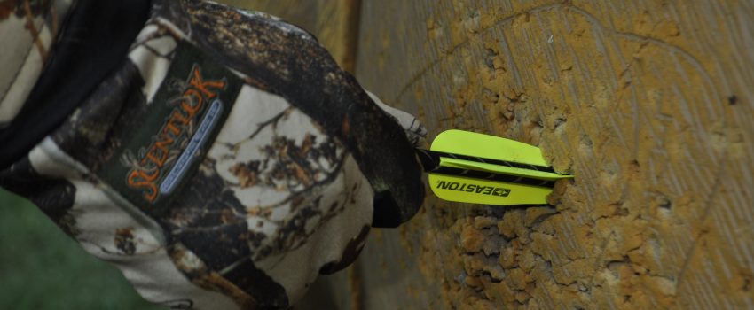 August Products 2011 147