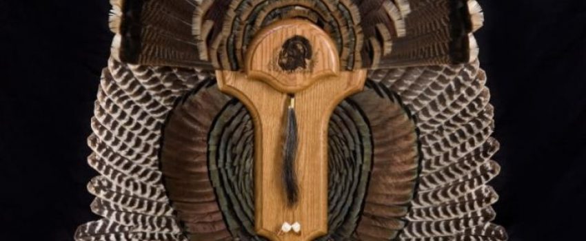 BC_Feature-turkey-fan