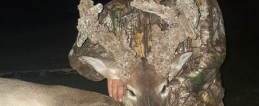 BUCK-Casey-Burnett-Alabama-cactus-buck-768x771