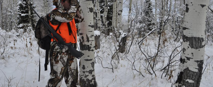 CO Rifle Elk 2011 223