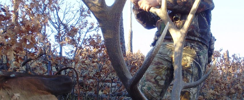 Jim Chisenhall took this great bull on public land after drawing a license.