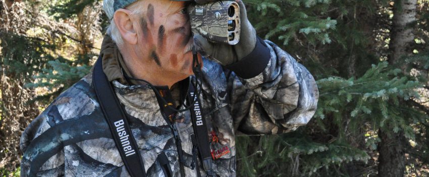 Colorado Elk 2010 020