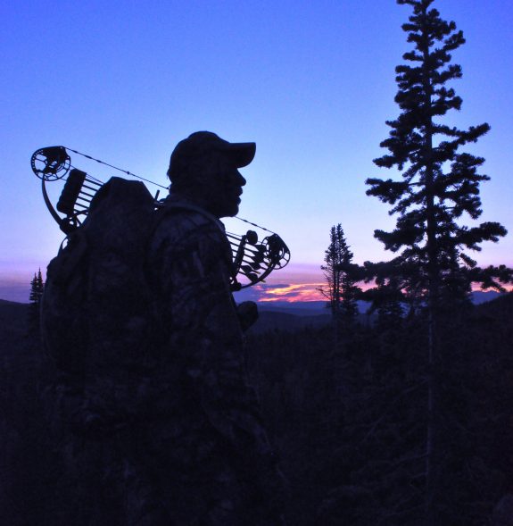 Colorado Elk 2010 515 - Copy