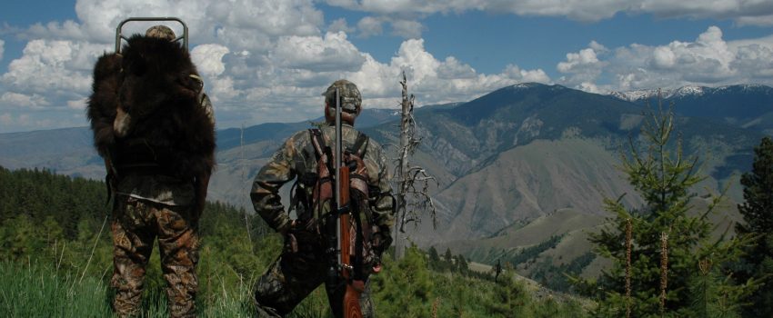 Copy (2) of ID Bear 062 054