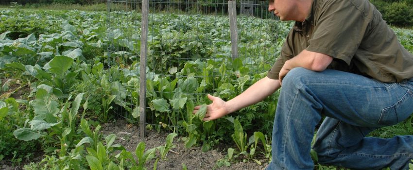 You don't have to wait for spring to begin planting this year's food plot.