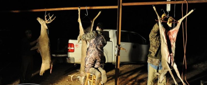 DEER-HUNTING-TXI-43477-copy-600x350[1]