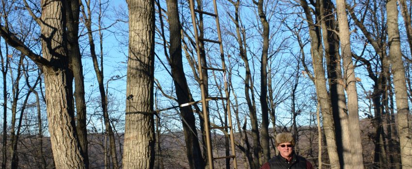 ????????????????????????????????????