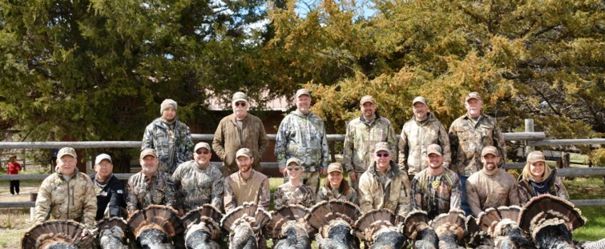 Great Gear generates success.  Here's what worked.