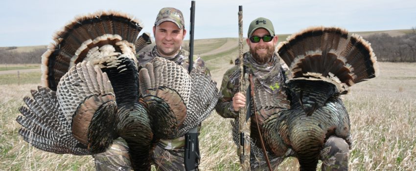 Log what worked in 2017.