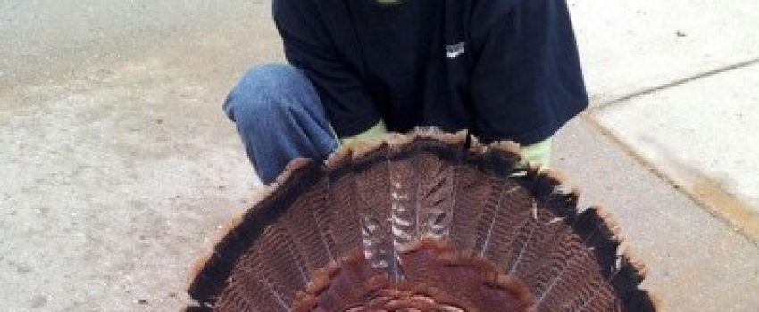 Daugherty-Turk-Photo by John E. Phillips