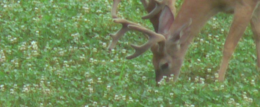 ????????????????????????