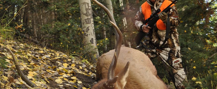 A remote tent camp keeps you in the hunting action.