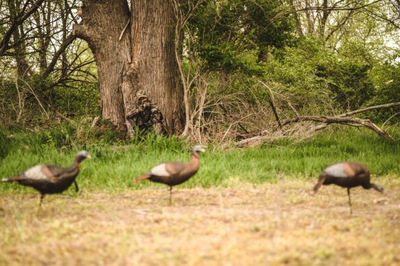 View More: http://howardcommunications.pass.us/hcphotolibrary