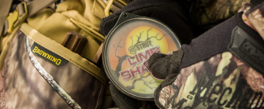 View More: http://howardcommunications.pass.us/hcphotolibrary