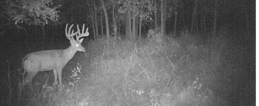 0301:080619:68F:0000:CAMERA1:2-