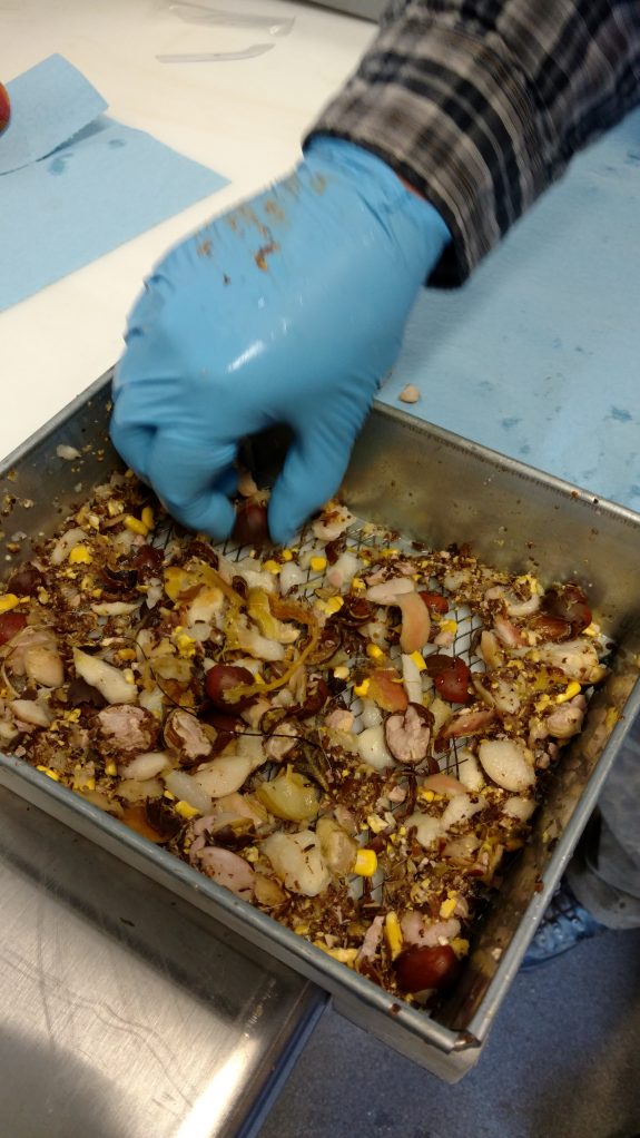 IMG_20151207_083416878_TOP