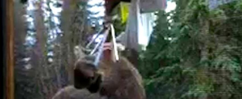 IMG_4015.00_00_37_14.Still009____640x360_685438531918