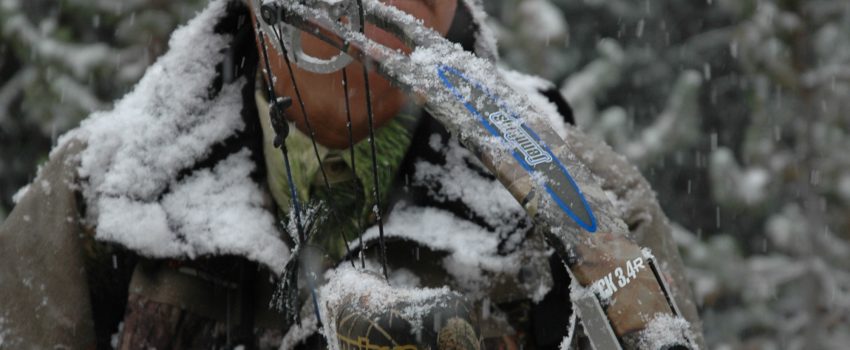 Idaho Elk Snow 040