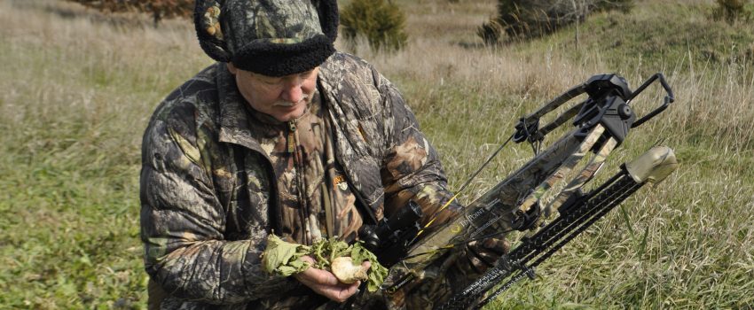 Illinois 10PT Deer 12 402