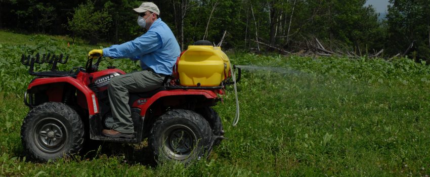 Once the plants sprout, there are still a host of great ways to improve your food plot.