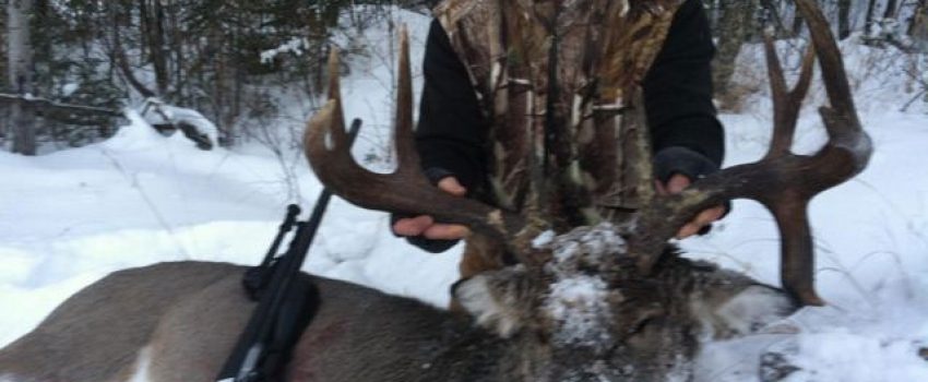 Johnc!cid_AE6B4322-9BFE-4ED3-ADC6-E9BFA263C33E