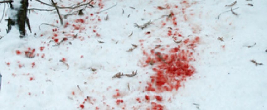 Kevin_Doe2007_BloodTrail