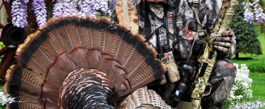 The author answers questions from fans.