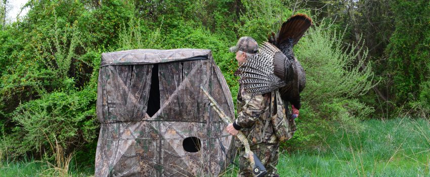 The author took this big tom using a Browning blind and decoys.  Note specialized video port.