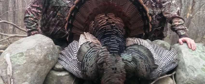 Bob Wettish, center, and his son Matt, left, celebrate a very special hunt.
