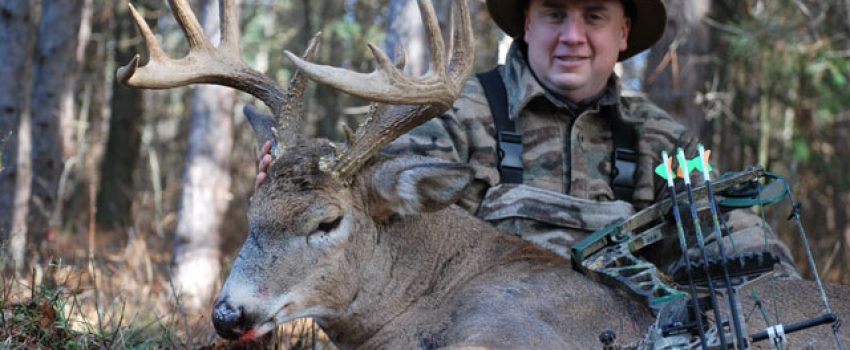 Boosting bedding in your hunting area will pay off this fall.