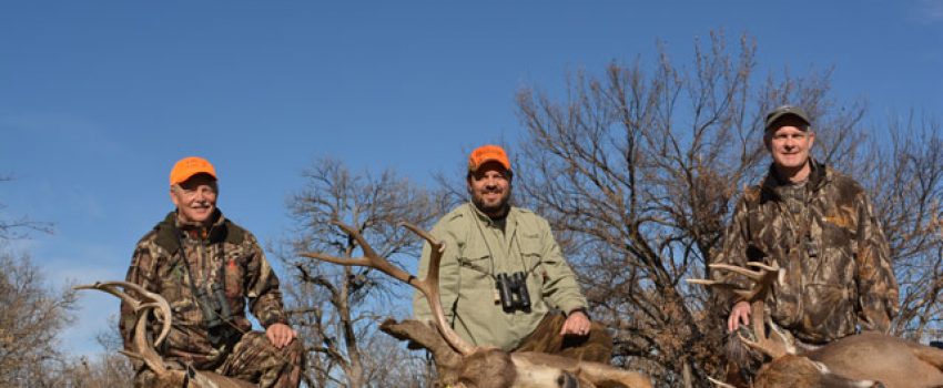 Three deer from three different methods.  Which is "best?"