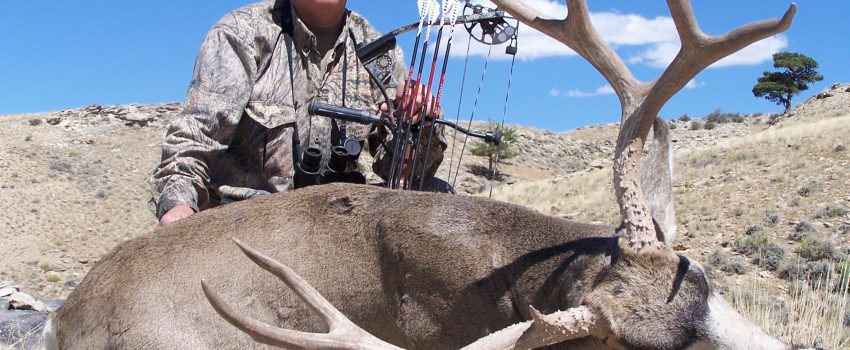 The buck of your dreams may be browsing prairie grass.