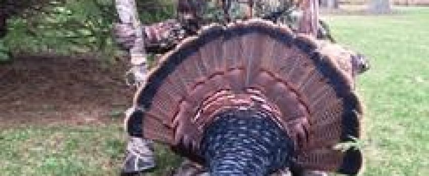 2015 PMH winner Bruce Shaneour with spring turkey