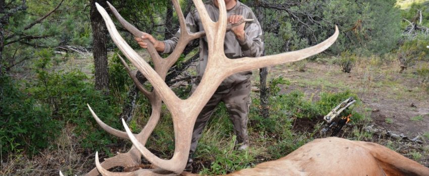 Randy-Ulmer-1024x699[1]