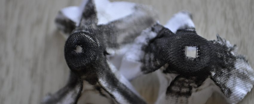 SD Deer Oct 2011 425