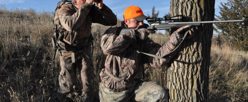 sd-deer-pine-ridge-100