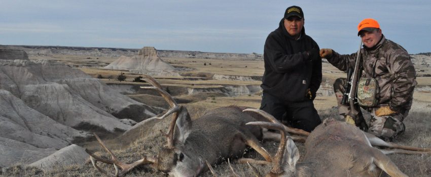 SD Deer Pine Ridge 489