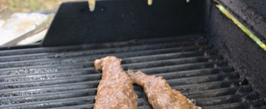 SD Muz Deer 2013 329