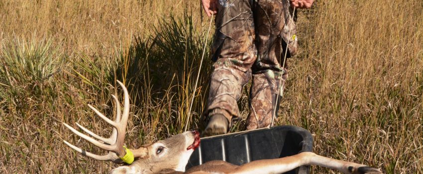 SD Muz Deer 2013 347