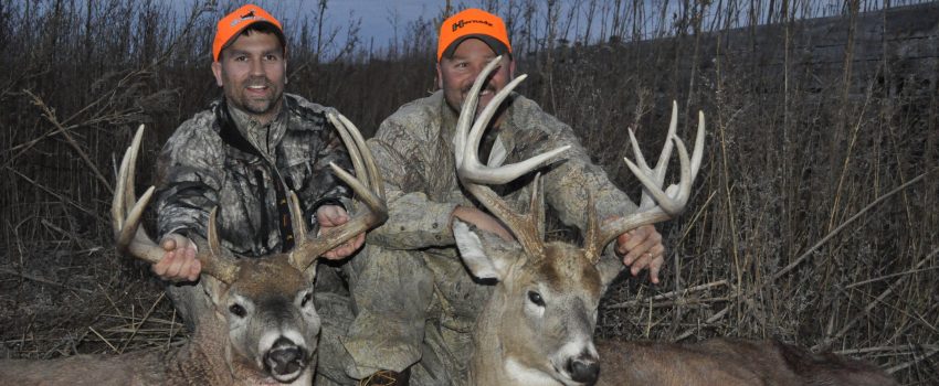 Once the big buck goes down, the work and precaution begins.