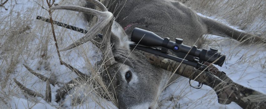 SD Rifle Deer 2012 031 - Copy
