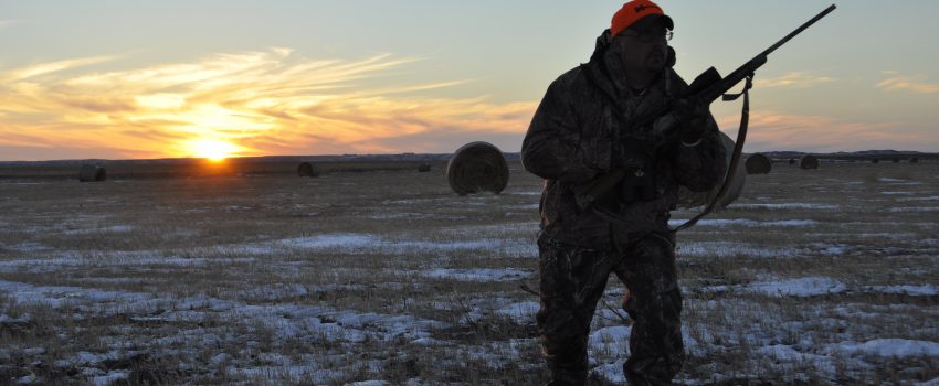 Sections of the Great Plains suffered a significant whitetail deer loss from EHD. Now, coyote predation is compounding the rebound.