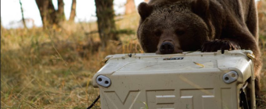YETI Coolers LLC: Brothers tout their ice chests’ design and d