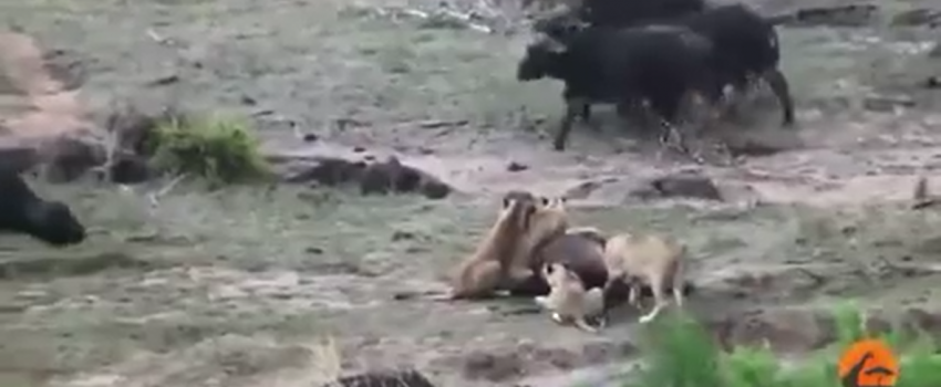 Screenshot 2016-04-02 06.28.03