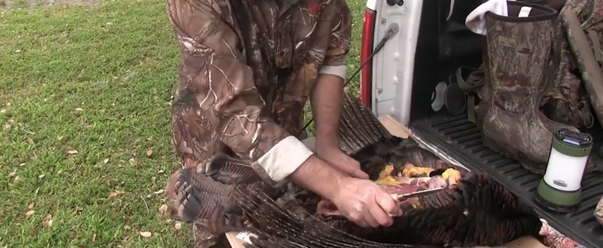 Screenshot 2016-04-09 05.22.18